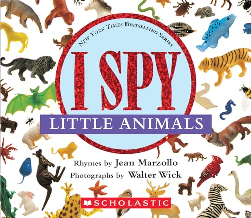 I Spy Board Books