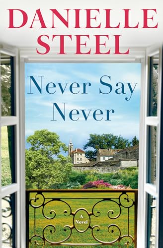 Never Say Never: A Novel cover