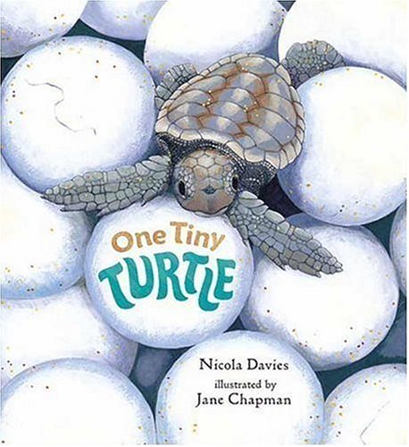 Nature Storybooks cover