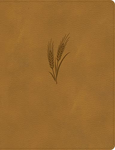 CSB Notetaking Bible, Large Print Edition, Camel LeatherTouch, Black Letter, Wide Margins, Journaling Space, Single-Column, Reading Plan, Easy-to-Read Bible Serif Type