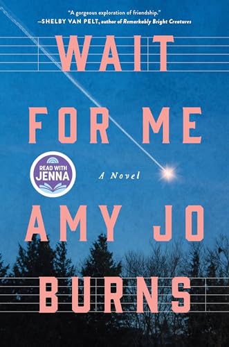 Wait for Me: A Novel cover