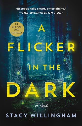 Flicker in the Dark cover