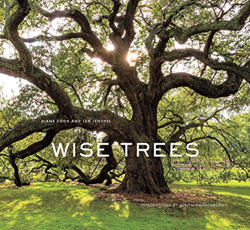 Wise Trees: Ancient trees photographed worldwide, each holding centuries of history in gnarled bark and roots.
