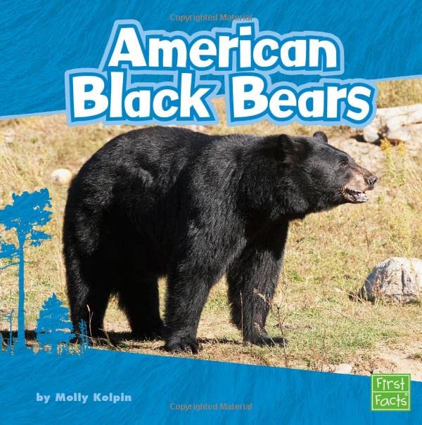 American Black Bears (First Facts) cover