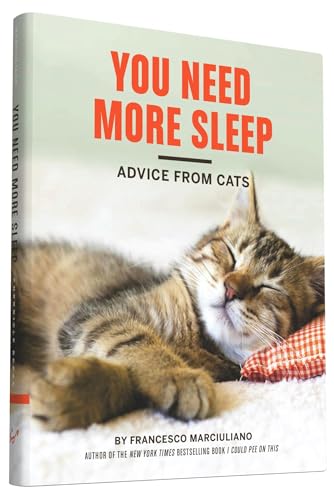 You Need More Sleep: Advice from Cats