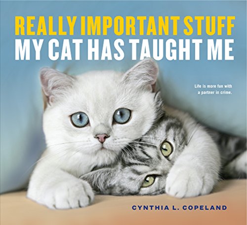 Really Important Stuff My Cat Has Taught Me cover