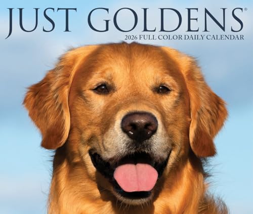 Goldens 2026 Box Calendar