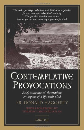 Contemplative Provocations: Brief, Concentrated Observations on Aspects of a Life with God