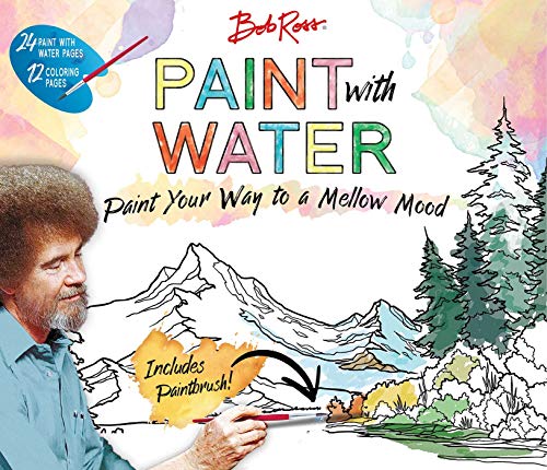 Bob Ross Paint with Water cover