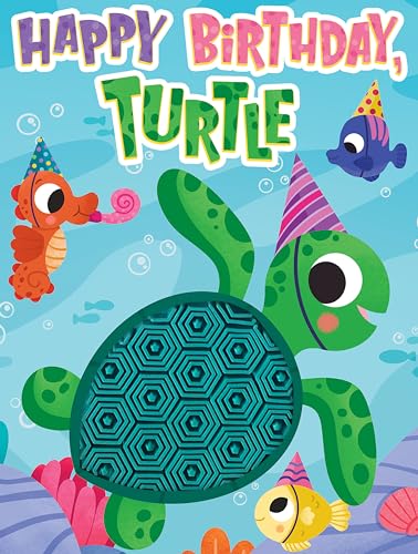 Little Hippo Books Happy Birthday Turtle I Ocean Children's Books Ages 1-3 | Touch and Feel Books for Toddlers 1-3 & Baby Books | Best Kids Books and ... Sensory Board Books for Baby & Toddler Time)