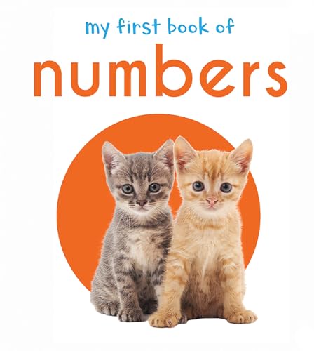 My First Book of Numbers: First Board Book