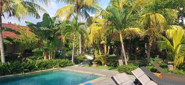 1000 Dream Bungalow — Property