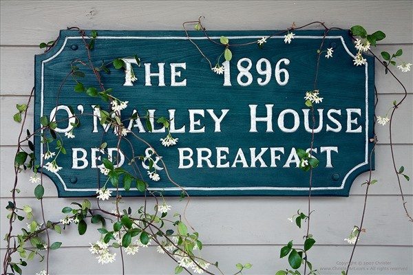 1896 O Malley House — Property