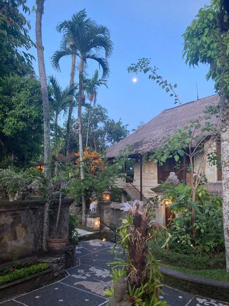 Alam Jiwa Ubud — Property