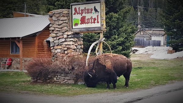 Alpine Motel — Property