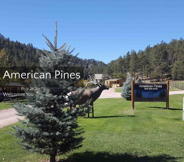 American Pines Cabins — Property