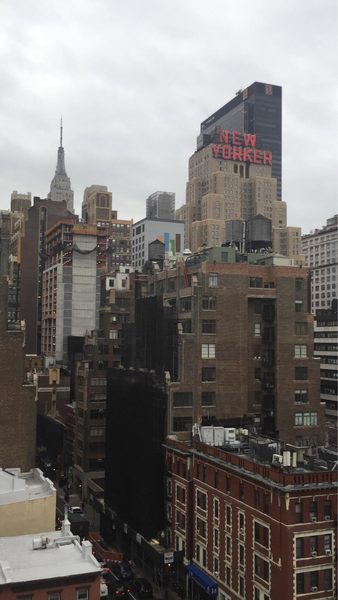 Apt 168 New York City New York — Property