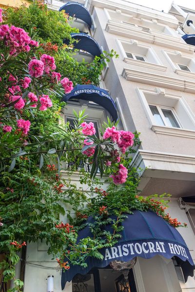 Aristocrat Hotel Istanbul — Property
