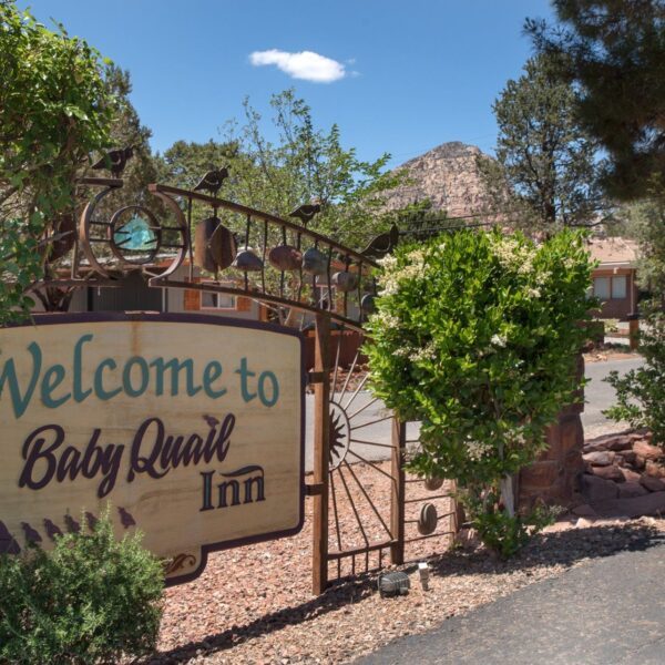 Baby Quail Inn — Property