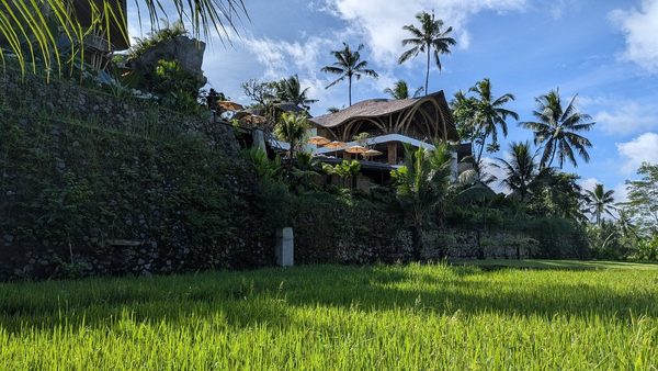 Bambootel Sawah View — Property