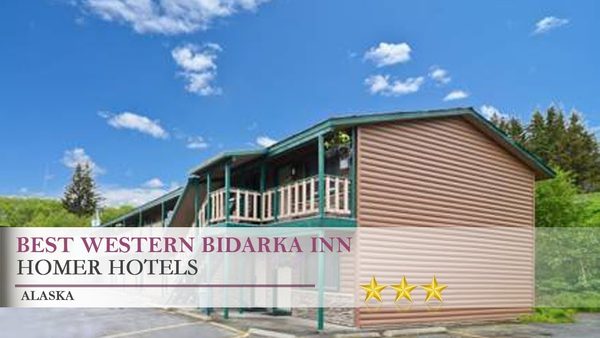 Best Western Bidarka Inn — Property