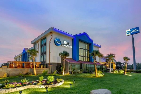 Best Western Corpus Christi Corpus Christi Texas — Property