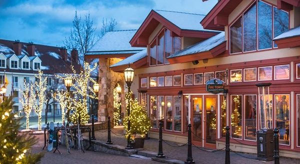 Black Bear Lodge — Property