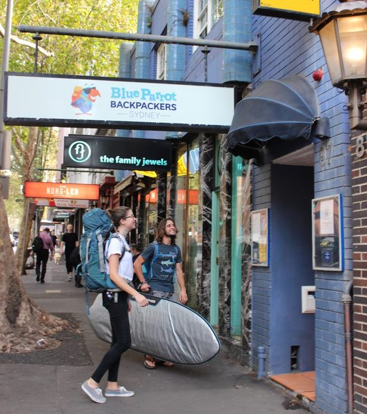 Blue Parrot Backpackers — Property