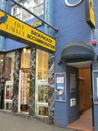 Blue Parrot Backpackers — Property
