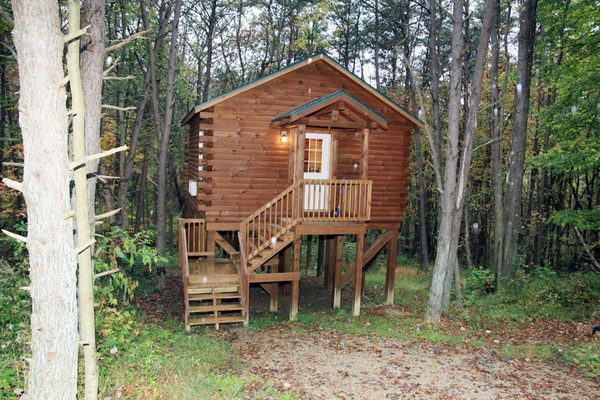 Blue Rose Cabins — Property