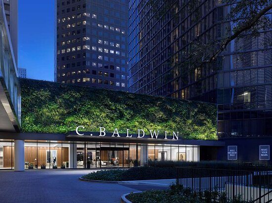 C Baldwin Curio Collection by Hilton — Property