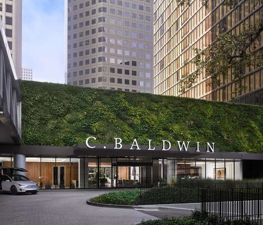 C Baldwin Curio Collection by Hilton — Property