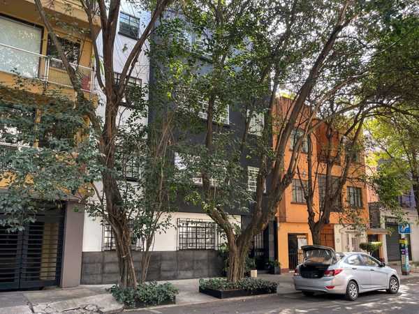 Casa Decu — Property