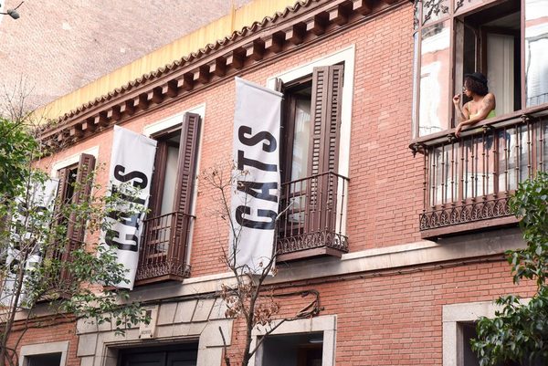 Cats Hostel Madrid Sol — Property
