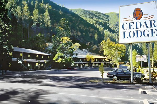 Cedar Lodge — Property