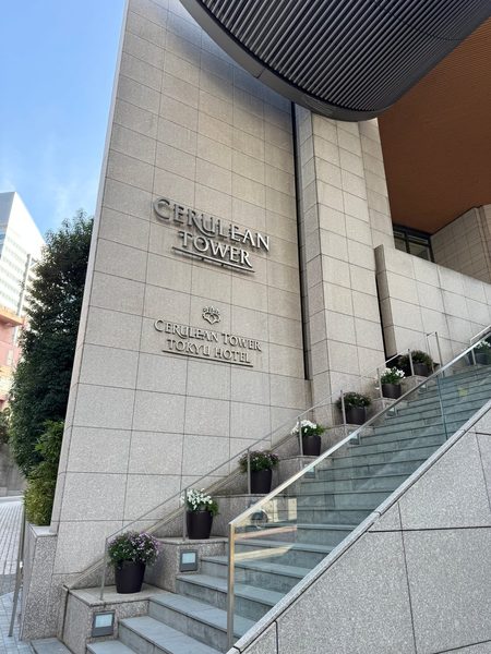 Cerulean Tower Tokyu Hotel — Property