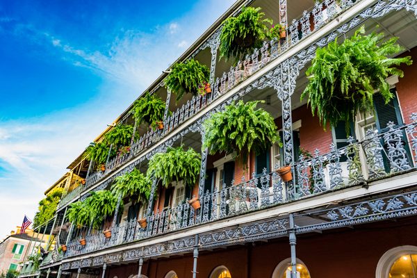 City House Hostel New Orleans — Property