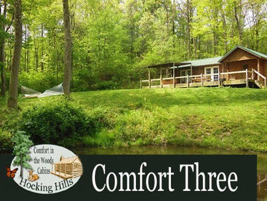 Comfort in the Woods Cabins — Property