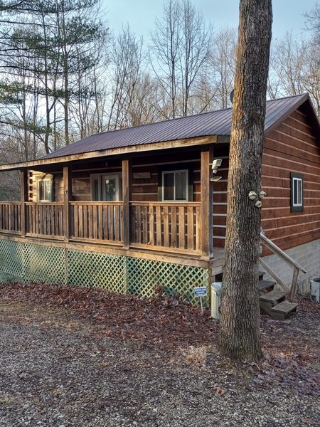 Comfort in the Woods Cabins — Property