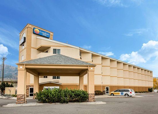 Comfort Inn University — Property
