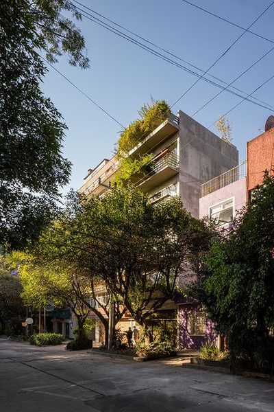 Condesa Haus — Property