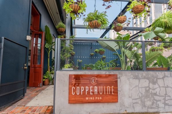 Copper Vine In — Property