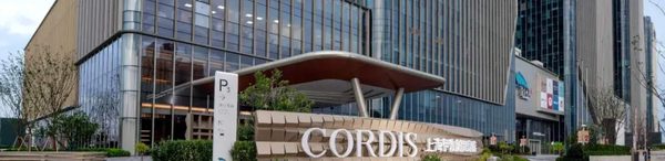 Cordis Shanghai Hongqiao — Property