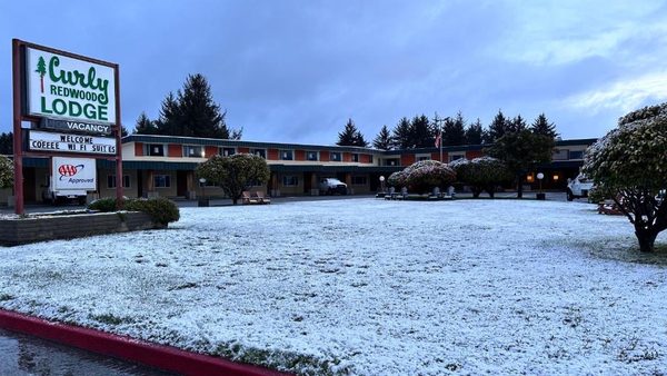 Curly Redwood Lodge — Property