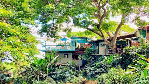 Dragonfly Ranch Hawaii BnB Healing Arts Center — Property