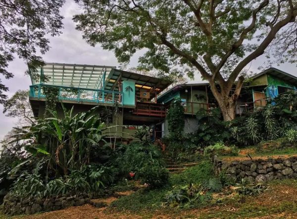 Dragonfly Ranch Hawaii BnB Healing Arts Center — Property