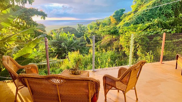 Dragonfly Ranch Hawaii BnB Healing Arts Center — Property