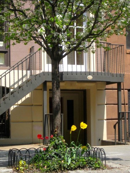 Dupuy s Landing Guest House New York City New York — Property