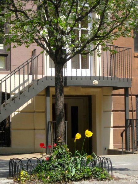 Dupuy s Landing Guest House New York City New York — Property