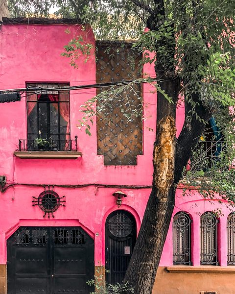 El Patio 77 — Property